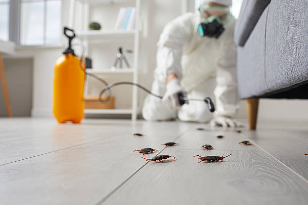Commercial Kitchen Cockroach Control in Marengo